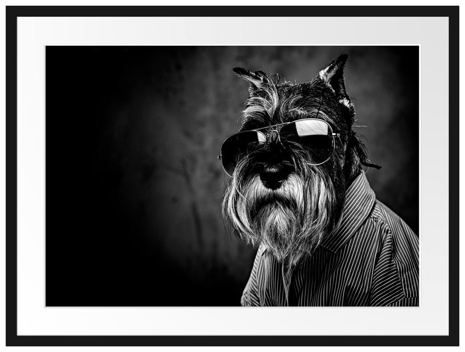 Lustiger Hund mit Hemd und Sonnenbrille, Monochrome Passepartout Rechteckig 80