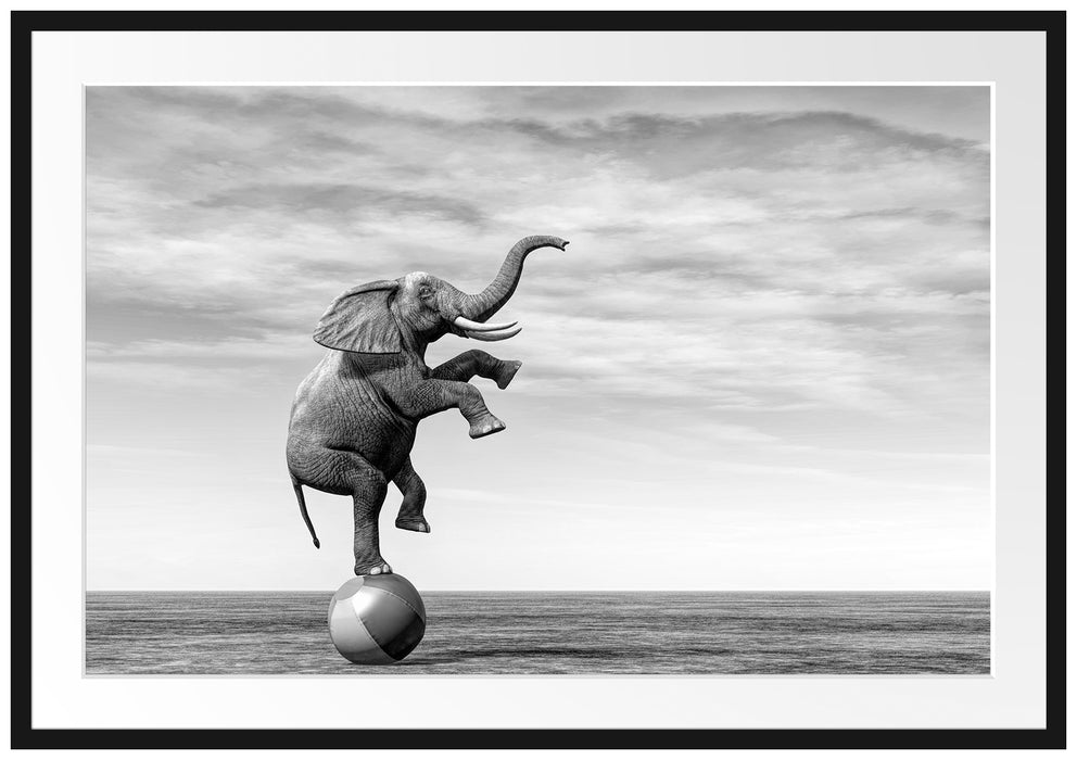 Elefant in der Wüste balanciert auf Ball, Monochrome Passepartout Rechteckig 100