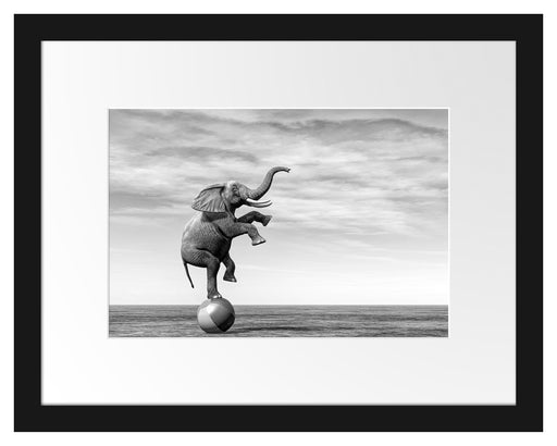 Elefant in der Wüste balanciert auf Ball, Monochrome Passepartout Rechteckig 30