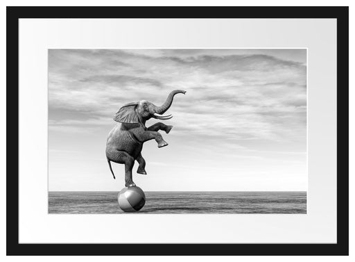 Elefant in der Wüste balanciert auf Ball, Monochrome Passepartout Rechteckig 40