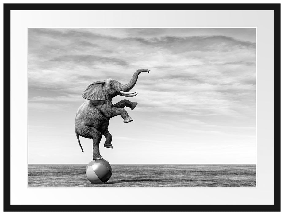 Elefant in der Wüste balanciert auf Ball, Monochrome Passepartout Rechteckig 80