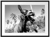 Lustiger lachender Esel unter Palmen, Monochrome Passepartout Rechteckig 80