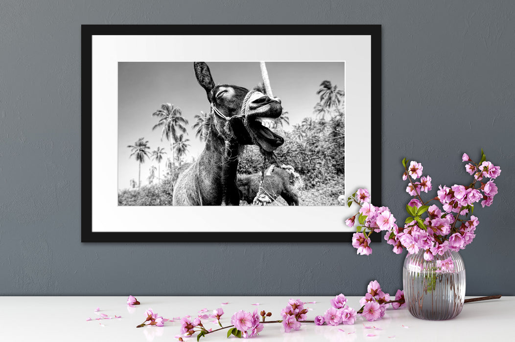 Lustiger lachender Esel unter Palmen, Monochrome Passepartout Detail Rechteckig