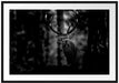 Hirsch im Wald schaut neugierig in die Kamera, Monochrome Passepartout Rechteckig 100