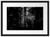Hirsch im Wald schaut neugierig in die Kamera, Monochrome Passepartout Rechteckig 40
