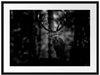 Hirsch im Wald schaut neugierig in die Kamera, Monochrome Passepartout Rechteckig 80