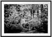 Wolf sitzt auf einem Stein im Herbstwald, Monochrome Passepartout Rechteckig 100