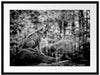 Wolf sitzt auf einem Stein im Herbstwald, Monochrome Passepartout Rechteckig 80