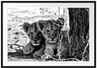 Junge Löwen im Schatten eines Baumes, Monochrome Passepartout Rechteckig 100