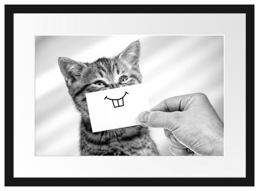 Lustige Katze mit Lächeln auf Papier, Monochrome Passepartout Rechteckig 40
