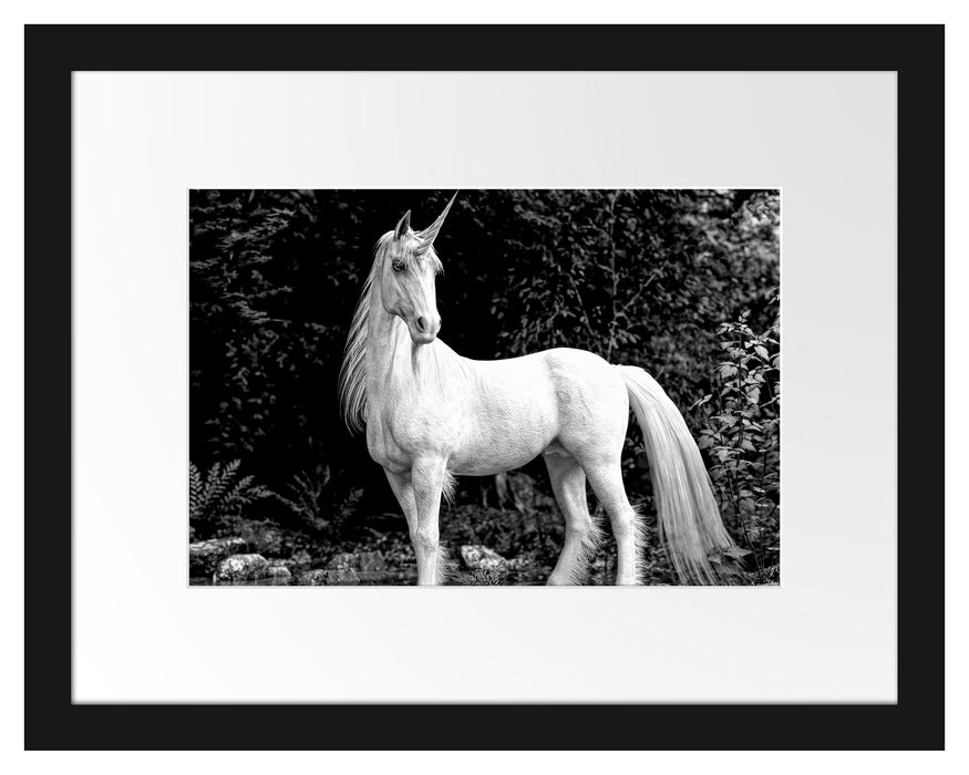 Pixxprint Majestätisches Einhorn in Waldsee, Monochrome, im Galerie-Passepartout Bilderrahmen