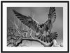 Falke landet auf kahlem Ast, Monochrome Passepartout Rechteckig 80