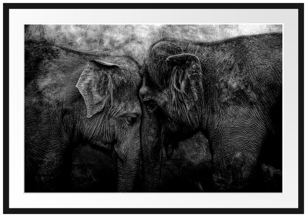 Schmusendes altes Elefantenpaar, Monochrome Passepartout Rechteckig 100