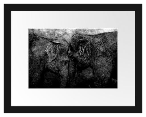 Schmusendes altes Elefantenpaar, Monochrome Passepartout Rechteckig 30