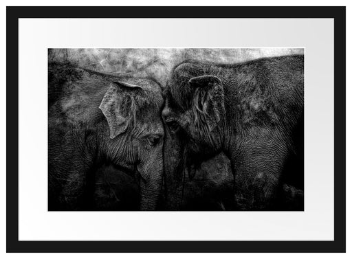 Schmusendes altes Elefantenpaar, Monochrome Passepartout Rechteckig 40