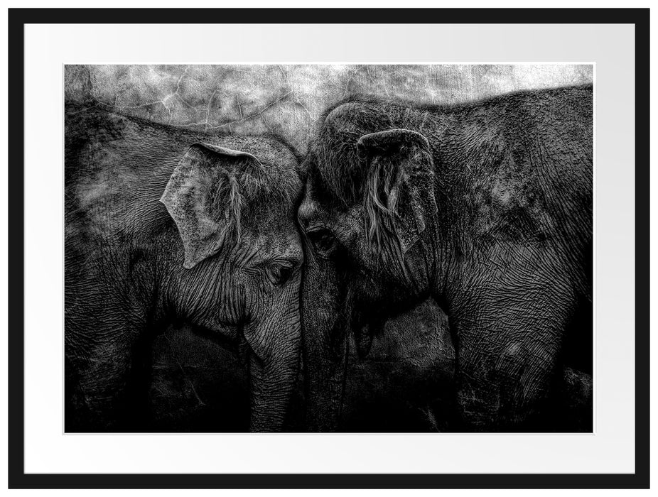 Schmusendes altes Elefantenpaar, Monochrome Passepartout Rechteckig 80