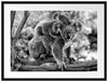 Koala Mutter mit Kind auf dem Rücken, Monochrome Passepartout Rechteckig 80