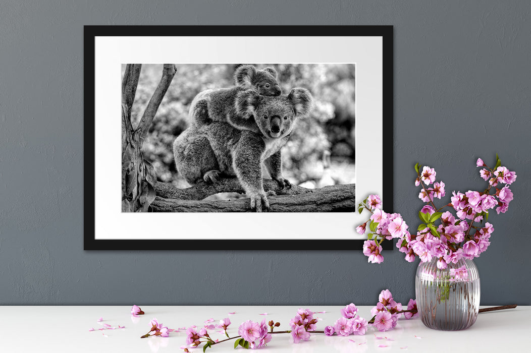 Koala Mutter mit Kind auf dem Rücken, Monochrome Passepartout Detail Rechteckig