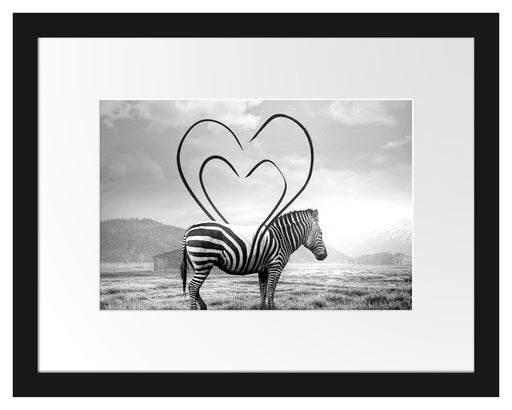Zebra mit Herzbotschaft in der Savanne, Monochrome Passepartout Rechteckig 30