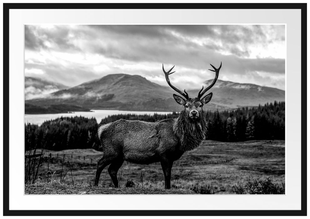 Hirsch in atemberaubender Landschaft, Monochrome Passepartout Rechteckig 100