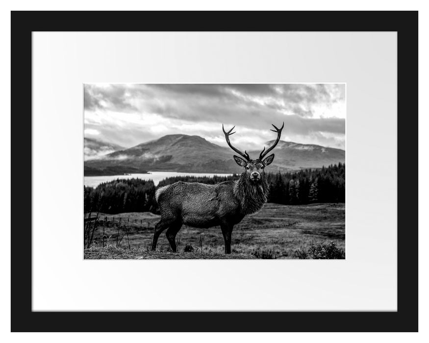 Pixxprint Hirsch in atemberaubender Landschaft, Monochrome, im Galerie-Passepartout Bilderrahmen