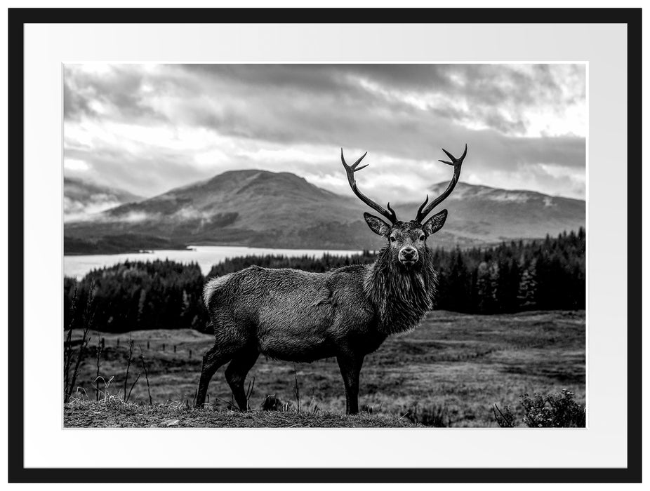 Hirsch in atemberaubender Landschaft, Monochrome Passepartout Rechteckig 80