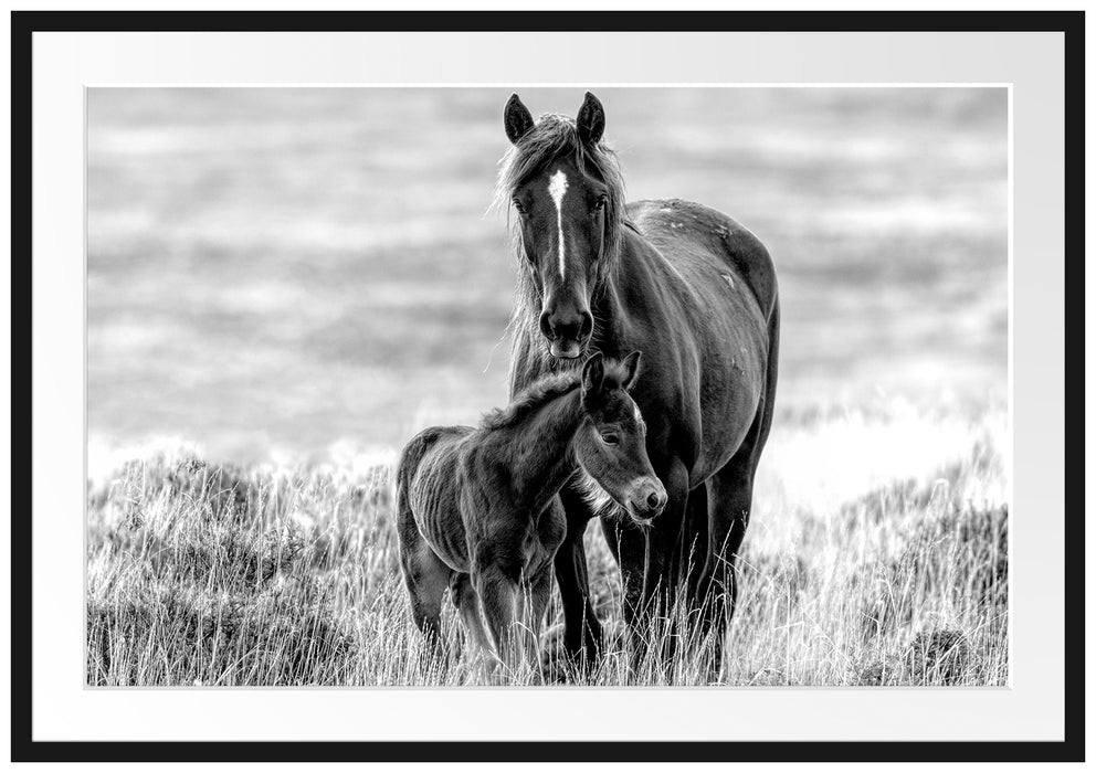 Pferdemutter mit Fohlen auf Wiese, Monochrome Passepartout Rechteckig 100