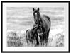 Pferdemutter mit Fohlen auf Wiese, Monochrome Passepartout Rechteckig 80