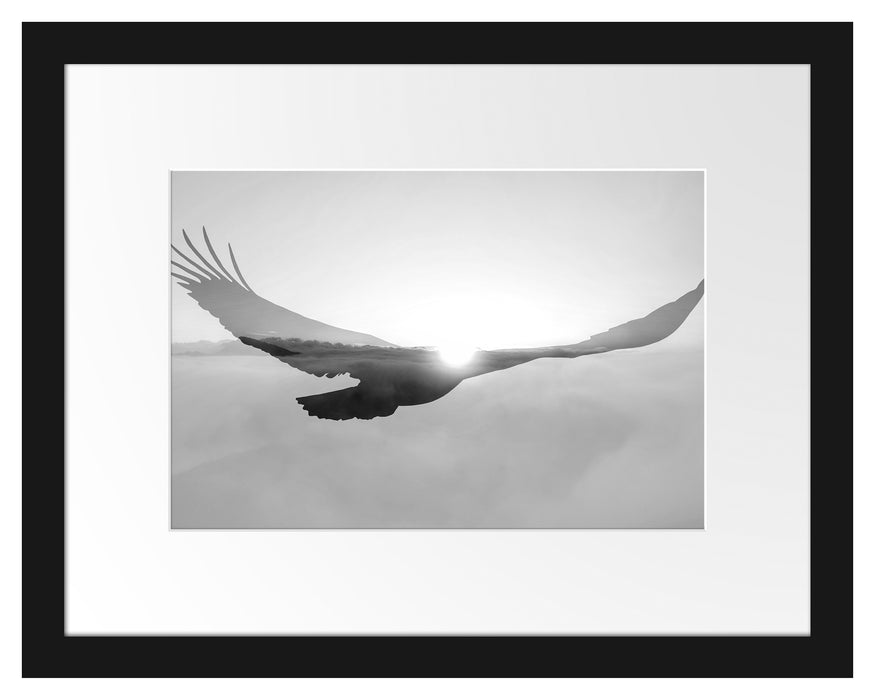 Pixxprint Verblassender Adler im Sonnenuntergang, Monochrome, im Galerie-Passepartout Bilderrahmen