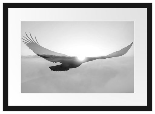 Verblassender Adler im Sonnenuntergang, Monochrome Passepartout Rechteckig 40