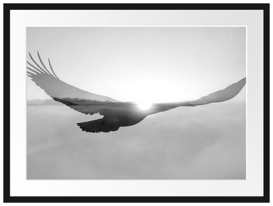 Verblassender Adler im Sonnenuntergang, Monochrome Passepartout Rechteckig 80