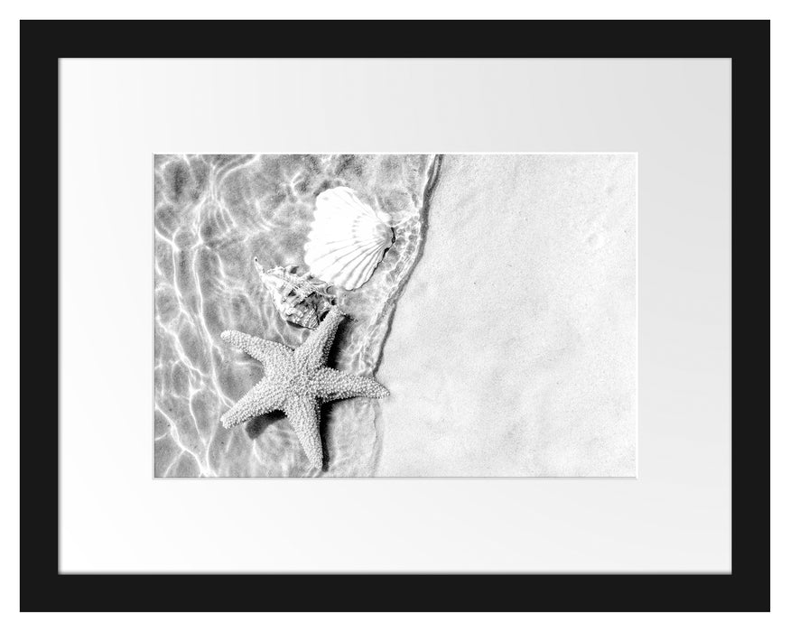 Pixxprint Seestern und Muscheln am Strand, Monochrome, im Galerie-Passepartout Bilderrahmen