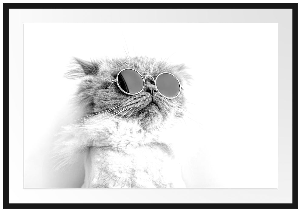 Coole Katze mit runder Sonnenbrille, Monochrome Passepartout Rechteckig 100