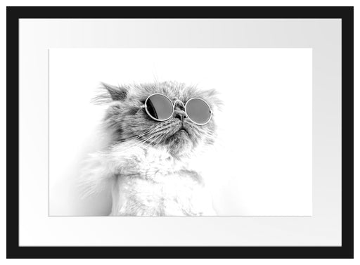 Coole Katze mit runder Sonnenbrille, Monochrome Passepartout Rechteckig 40