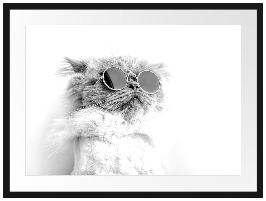 Coole Katze mit runder Sonnenbrille, Monochrome Passepartout Rechteckig 80