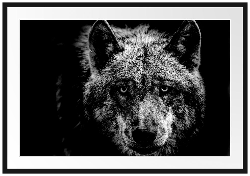 Nahaufnahme Wolf mit gelben Augen, Monochrome Passepartout Rechteckig 100