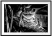 Lachender Frosch mit roten Augen auf Ast, Monochrome Passepartout Rechteckig 100