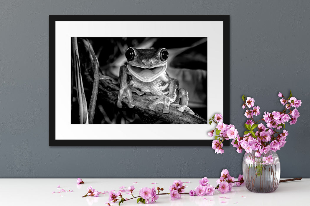 Lachender Frosch mit roten Augen auf Ast, Monochrome Passepartout Detail Rechteckig