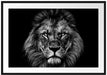 Mächtiger Löwe mit gelben Augen, Monochrome Passepartout Rechteckig 100