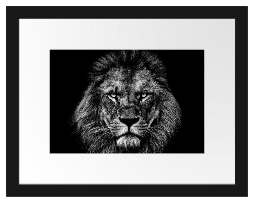 Pixxprint Mächtiger Löwe mit gelben Augen, Monochrome, im Galerie-Passepartout Bilderrahmen