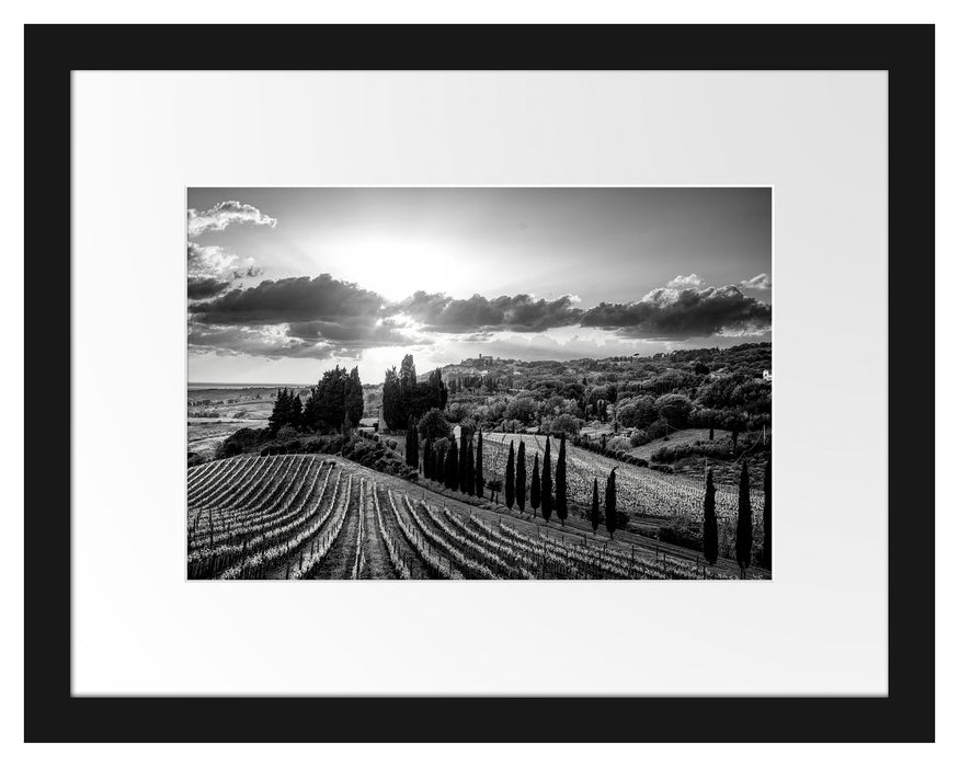 Pixxprint Malerische Weinberge in der Toskana, Monochrome, im Galerie-Passepartout Bilderrahmen