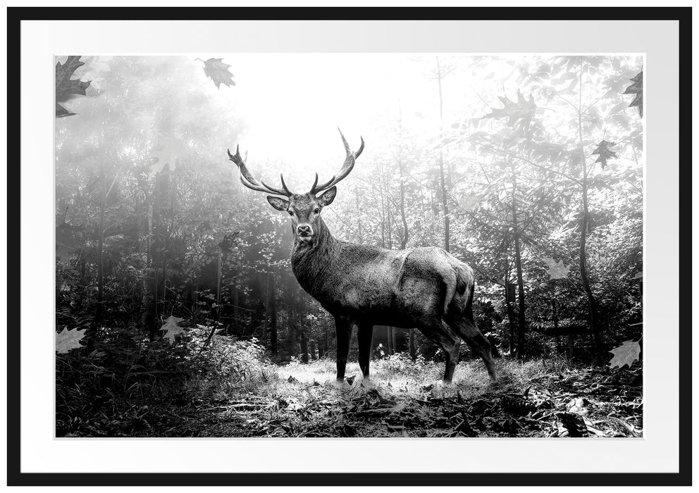 Hirsch im Wald mit fallenden Blättern, Monochrome Passepartout Rechteckig 100