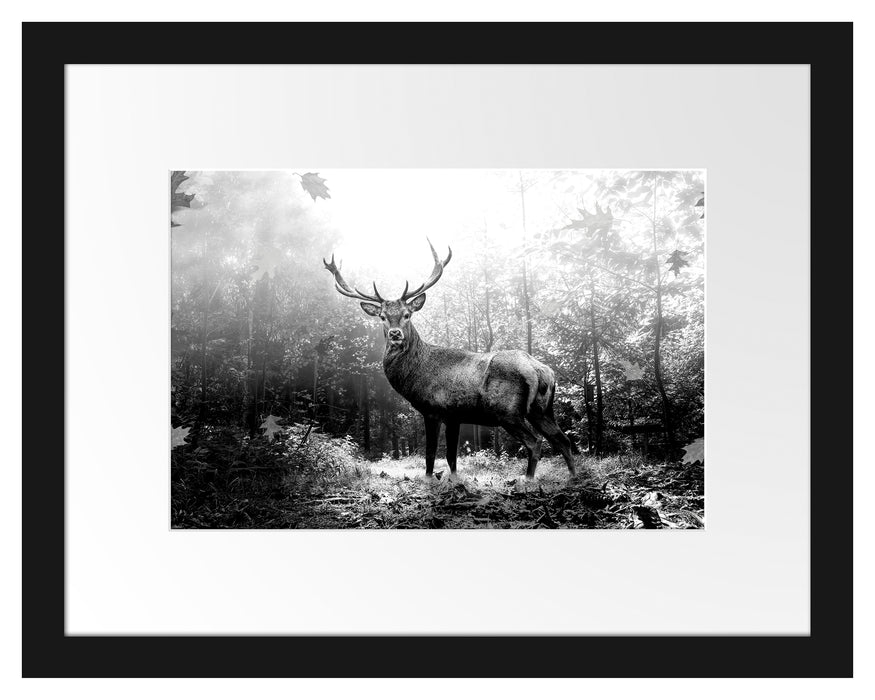 Pixxprint Hirsch im Wald mit fallenden Blättern, Monochrome, im Galerie-Passepartout Bilderrahmen