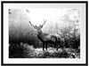 Hirsch im Wald mit fallenden Blättern, Monochrome Passepartout Rechteckig 80