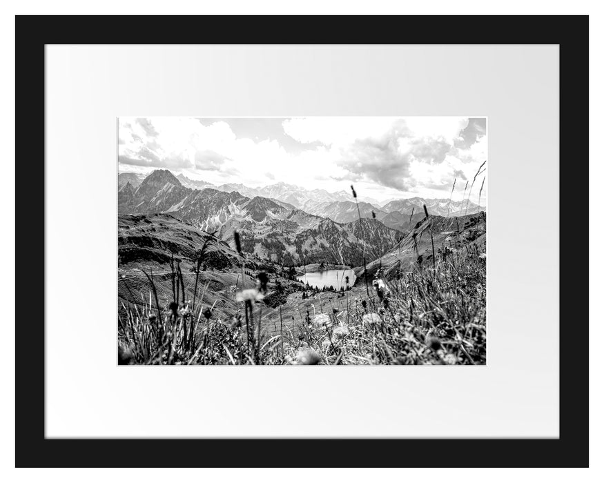 Pixxprint Wiesenblumen in den Bergen, Monochrome, im Galerie-Passepartout Bilderrahmen