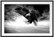 Angreifender Adler in Steinwüste, Monochrome Passepartout Rechteckig 100