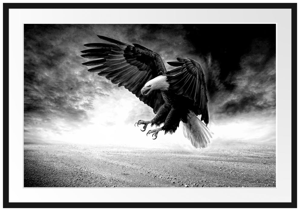Angreifender Adler in Steinwüste, Monochrome Passepartout Rechteckig 100