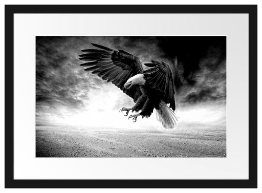 Angreifender Adler in Steinwüste, Monochrome Passepartout Rechteckig 40