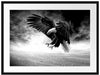 Angreifender Adler in Steinwüste, Monochrome Passepartout Rechteckig 80