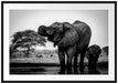 Elefantenkuh mit Jungem am Wasserloch, Monochrome Passepartout Rechteckig 100